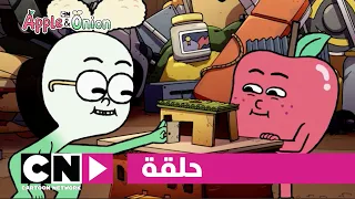 آبل وأنيون حلقة حفرة في السقف كرتون نتورك 