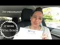 VLOG Fetal Echo 17 Weeks IVF Pregnancy