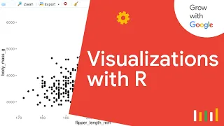 Intro to Data Visualization with R ggplot2 Google Data Analytics Certificate