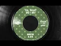 Dress & Tie - What Did I Do? (Official Lyric Video)