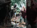 Download Lagu How to do Voodoo with the Locals in Benin (#Shorts #Voodoo #WestAfrica)