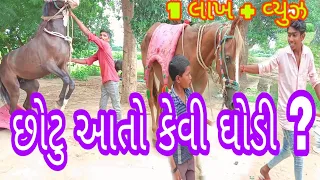 Download છોટુની ઘોડીએ કેવો કયૉ ડાન્સ  Horse dance in village //ગુજરાતી છોટુ કોમેડી વિડિયો #Rajdhanistudio MP3