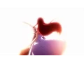Download Lagu [AMV] Fairy Tail - Colors