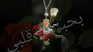 نبض قلبي انتي  نبض قلبي انتي