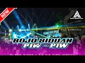 Download Lagu Dj bojo biduan X piw piw yang dicari² viral karnaval || by arya diskjockey