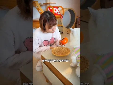 मेरी बिल्ली हर सुबह फल क्यों लाती थी 😲🐱#viral #ytshorts