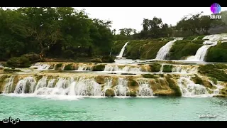صلالة جوك حالي دندنها