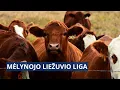 Download Lagu Ministro paaiškinimai dėl Mėlynojo liežuvio ligos