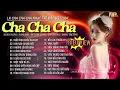Download Lagu Siêu Phẩm Cha Cha Cha Rumba Nhạc Trẻ Hot Tiktok - Mối Tình Chiều Mưa Bay - Cha Cha Nhạc Trẻ Đặc Biệt