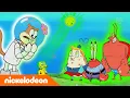 Download Lagu SpongeBob SquarePants | Kutukan | Nickelodeon Bahasa