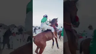 قوة وهيبة الخيل العربي 