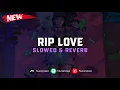 Download Lagu DJ Rip Love ( Slowed \u0026 Reverb ) 🎧