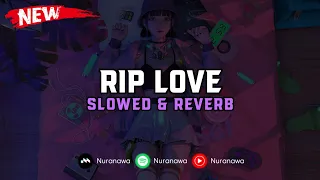 Download DJ Rip Love ( Slowed \u0026 Reverb ) 🎧 MP3