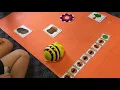 Learning to Code with Bee-Bots