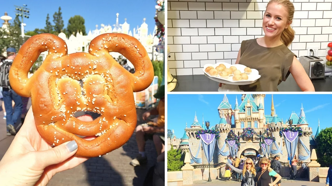 VLOG: November 2015   Healthy Eating At Disneyland, What I Ate Thanksgiving   Healthy Grocery Girl