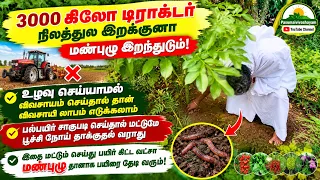 இதை மட்டும் பயிர் கிட்ட வட்சா மண்புழு தானாக பயிரை தேடி வரும் /Farming Without Tilling the Soil!