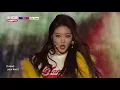 [Show Champion] 청하 - 롤러코스터 (CHUNGHA - Roller Coaster) l EP.259