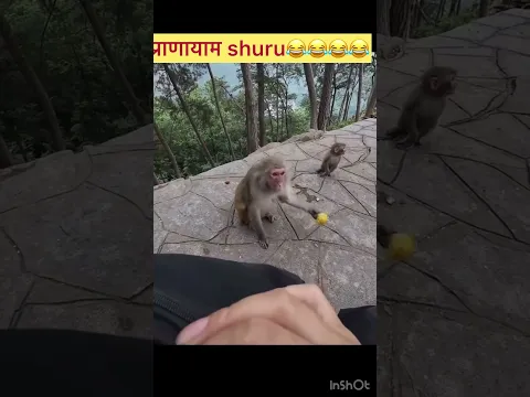Yoga is must