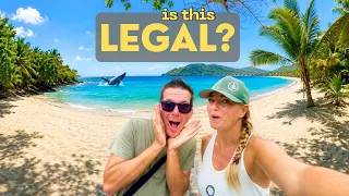 ⛵️WHALE HUNTING in Bequia🇻🇨 A Deeply Rooted Caribbean Tradition | Sailing Hallberg Rassy 352