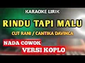 Download Lagu RINDU TAPI MALU KARAOKE NADA COWOK KOPLO VERSION - CUT RANI - CANTIKA DAVINCA