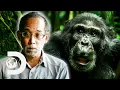 Most VIOLENT Chimpanzee Society Ever Discovered Rise Of The Warrior Apes