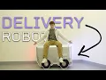 I built a delivery robot and lost my sanity halfway through