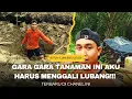 Download Lagu Vidio terviral!!!...Gara gara tanaman ini aku harus menggali lubang