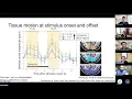 Download Lagu Amelia Strom: Cortical displacement driven by visual stimulation using DENSE EPI at 7T