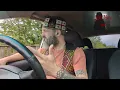 TO THE GRAVE - NAIL MARY (Berserker React)