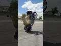 Download Lagu Bike BLOWS UP mid wheelie!💥 #harleydavidson #wheelie #shorts