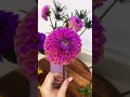 Download Lagu What color is she?? #dahlia #flower #flowerfarm #purple #farmerflorist
