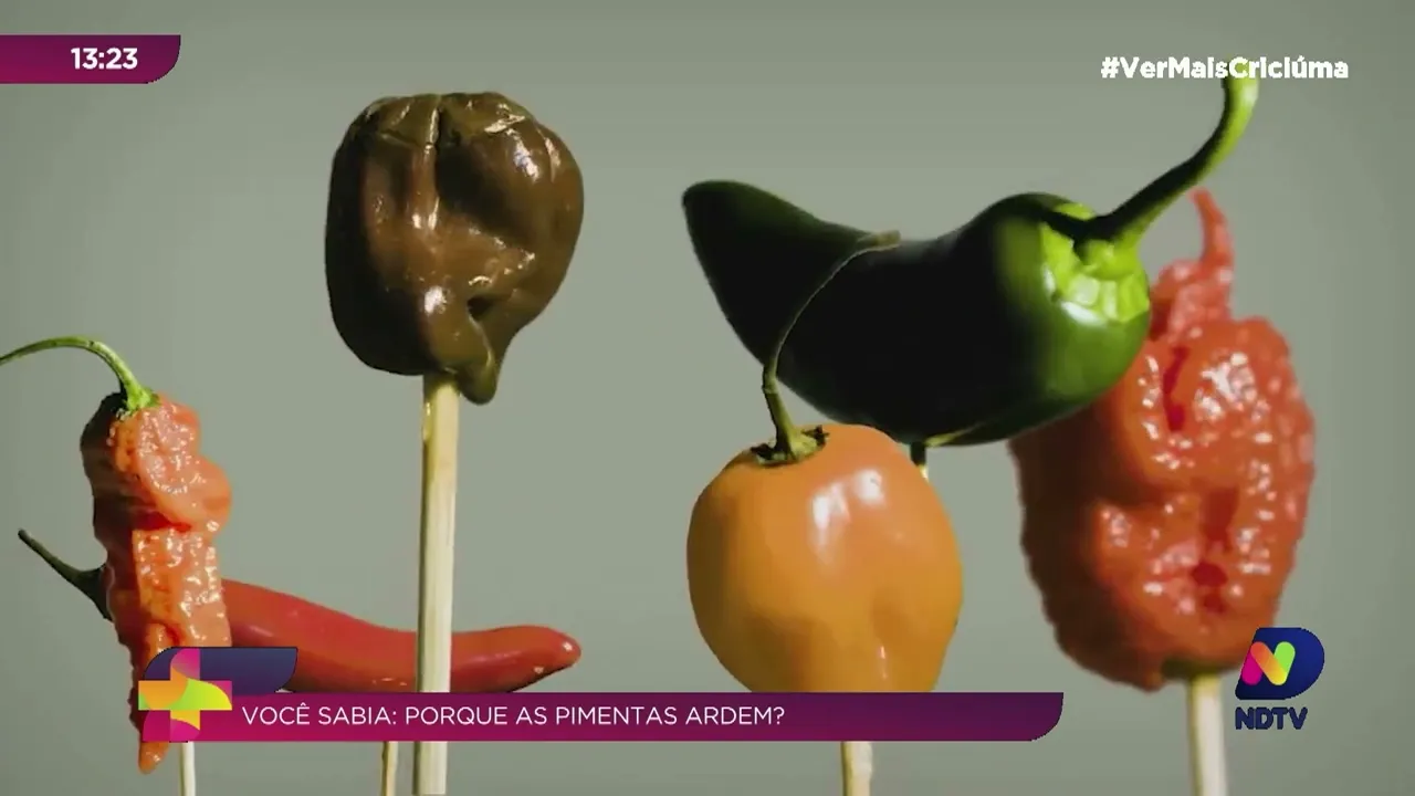 Você Sabia: porquê as pimentas ardem?