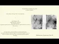 rainy tokyo from above | ambient felt piano & tape synth improvisation with japanese fragrance