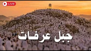 مباشر يوم عرفة   لبيك اللهم لبيك   جبل عرفات   مناسك حج        نقل شعائر الحج                        دندنها