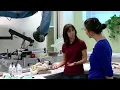 Inside the Smithsonian s Fossil Prep Lab with Michelle Pinsdorf