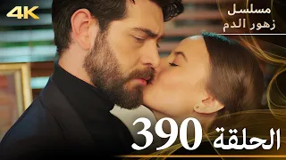 الحلقة 390 مسلسل زهور الدم مدبلج بالعربية Kan Çiçekleri جودة 4K 