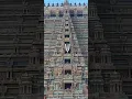 Download Lagu Srirangam - Vaikuntha ekadashi