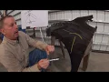 Auto Body Repair 101 Understanding the basics
