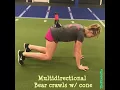 Multidirectional bear crawls with cone