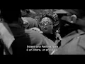 Video di Che fare quando il mondo è in fiamme? (2018) - Trailer Ufficiale (HD)