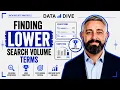 Finding Lower Search Volume Terms That Still Convert Data Dive