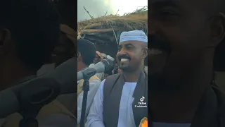 مجانينك بطيبو متين مبارك النور  مجانينك بطيبو متين مبارك النور