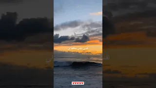 هي امنية في خيالي نفسي ترضي تحققها لي عمرو دياب 