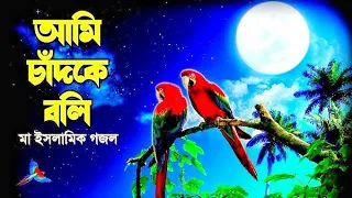 ami chand ke boli tumi sundor nou shahabuddin shihab best ma gojol