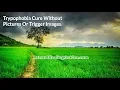 Trypophobia Cure Without Pictures Or Trigger Images Get Rid Of Trypophobia Fear Of Holes