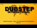 Flight Facilities - Crave You (Adventure Club  Remix)
