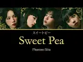 Sweet Pea スイートピー - Phantom Siita Color Coded Lyrics KAN/ROM/ENG