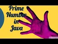 PRIME NUMBER IN JAVA BLUEJ KUNAL