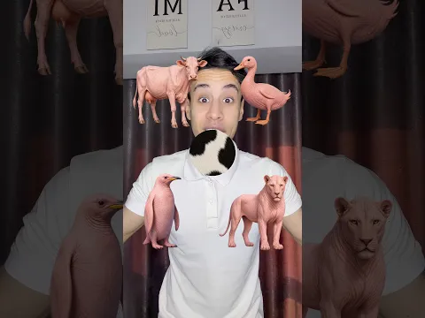 حيوانات بدون ملابس ؟😂