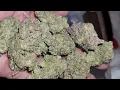 Gush Mintz THCa Flower by Happy Shaman